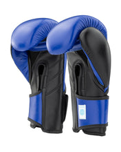 WAKO Creed Kickboxing Punches