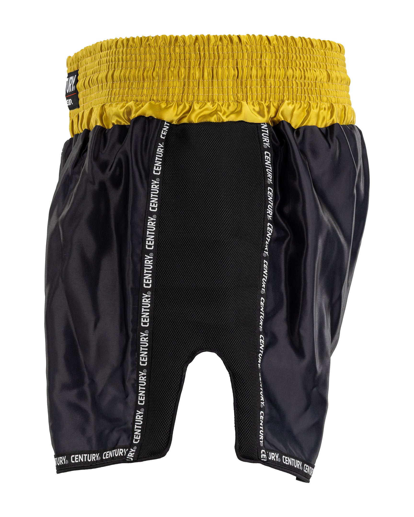 WAKO Tenacity K1/Low Kick Shorts – Century Kickboxing