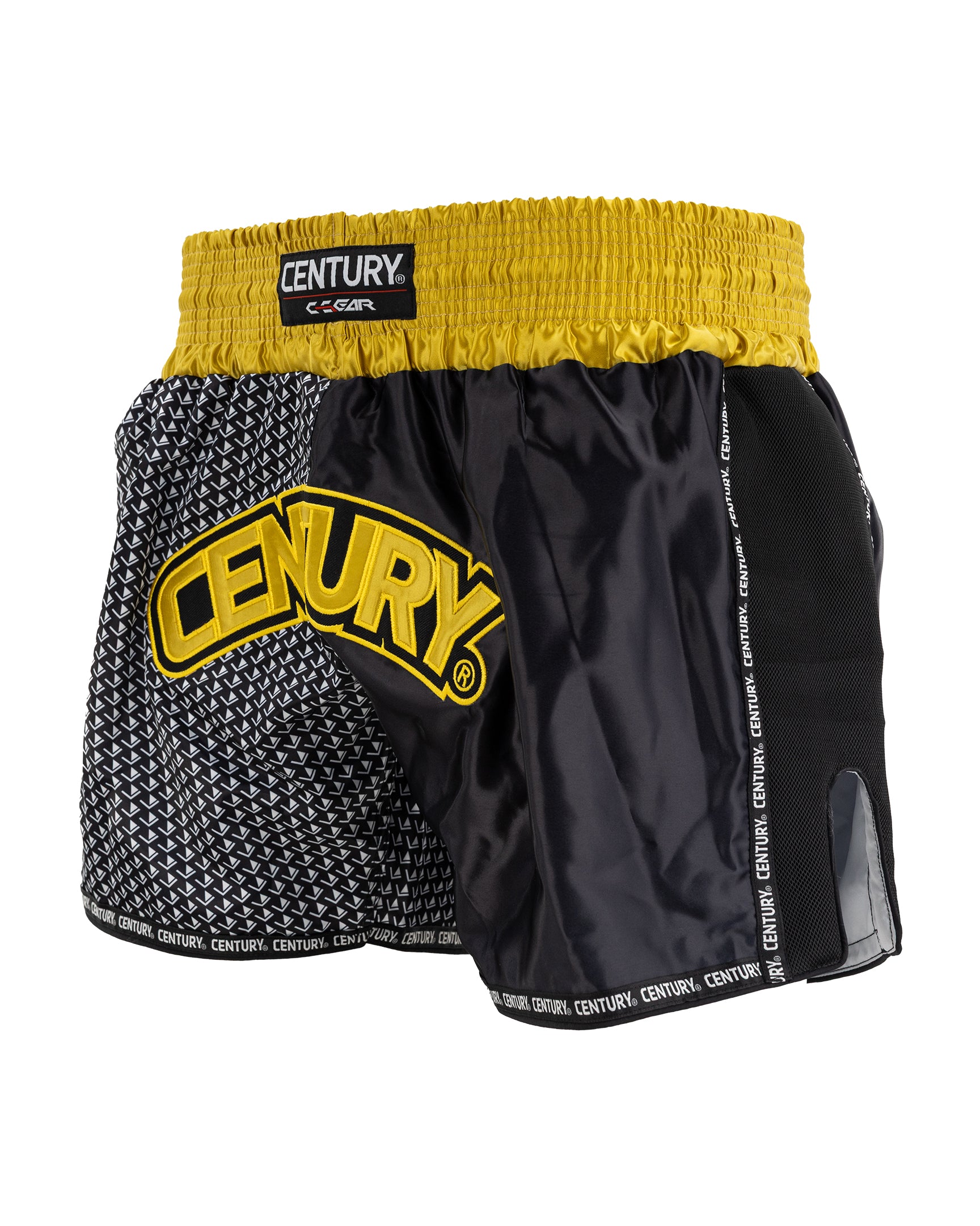 WAKO Tenacity K1/Low Kick Shorts – Century Kickboxing