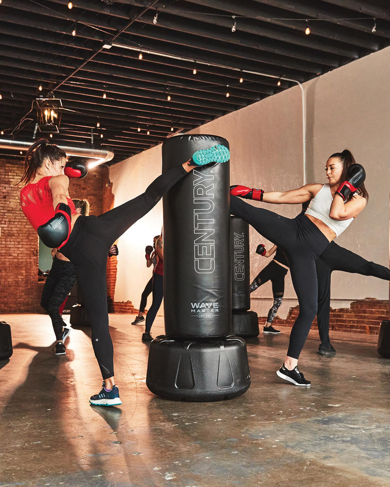 Kicking and Punching Drills for Wavemaster Freestanding Punching bag -  YouTube