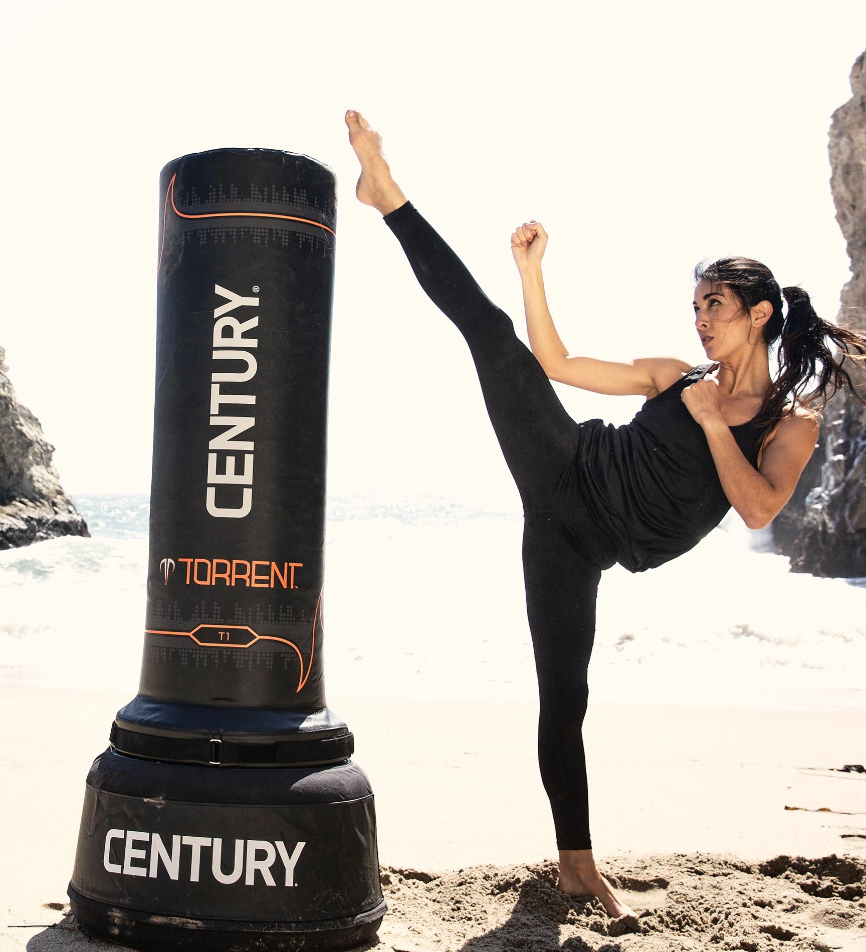 Torrent T1