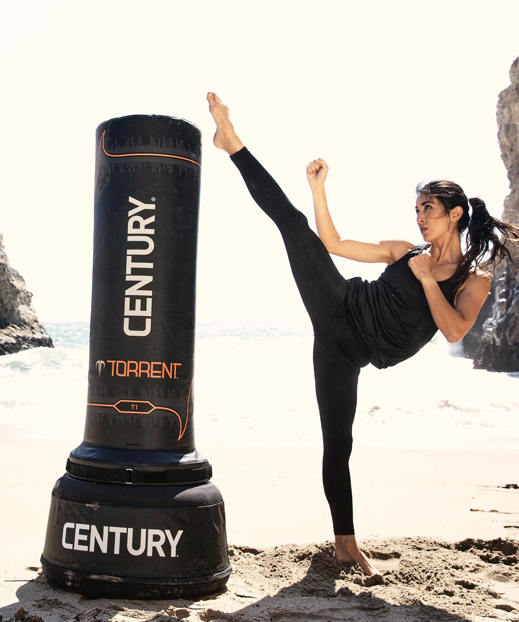 Torrent T1