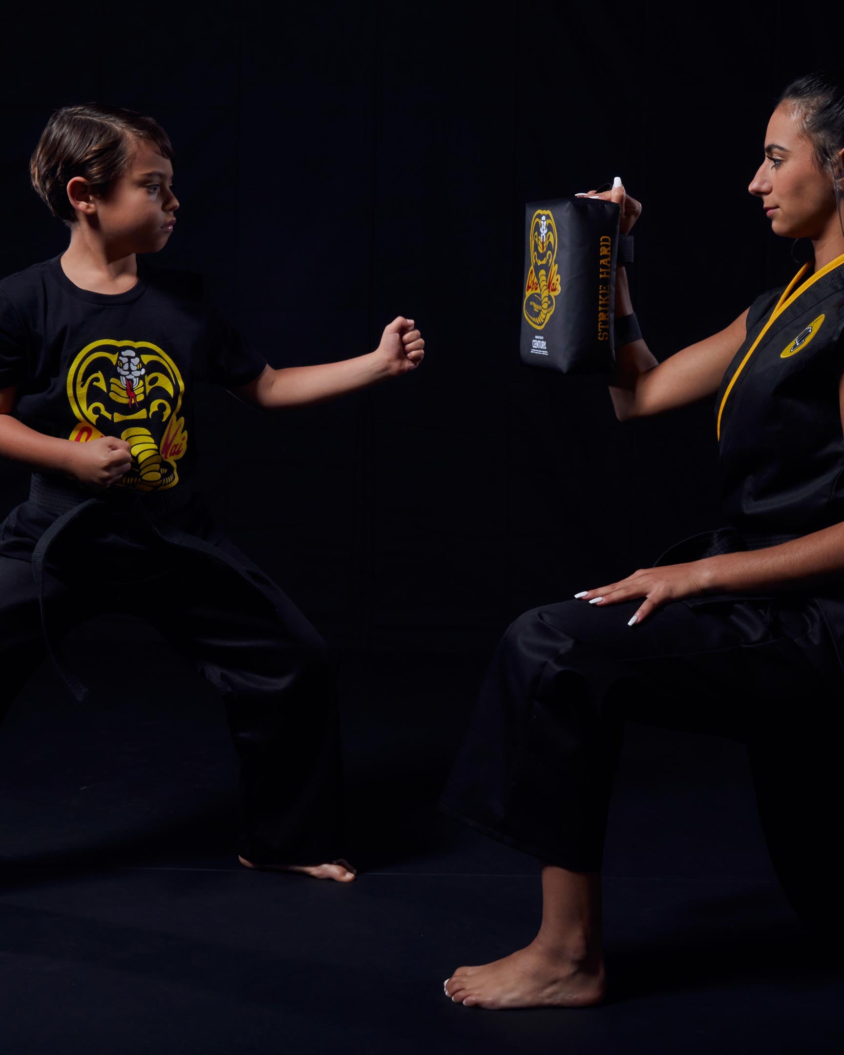 Cobra Kai Hand Target