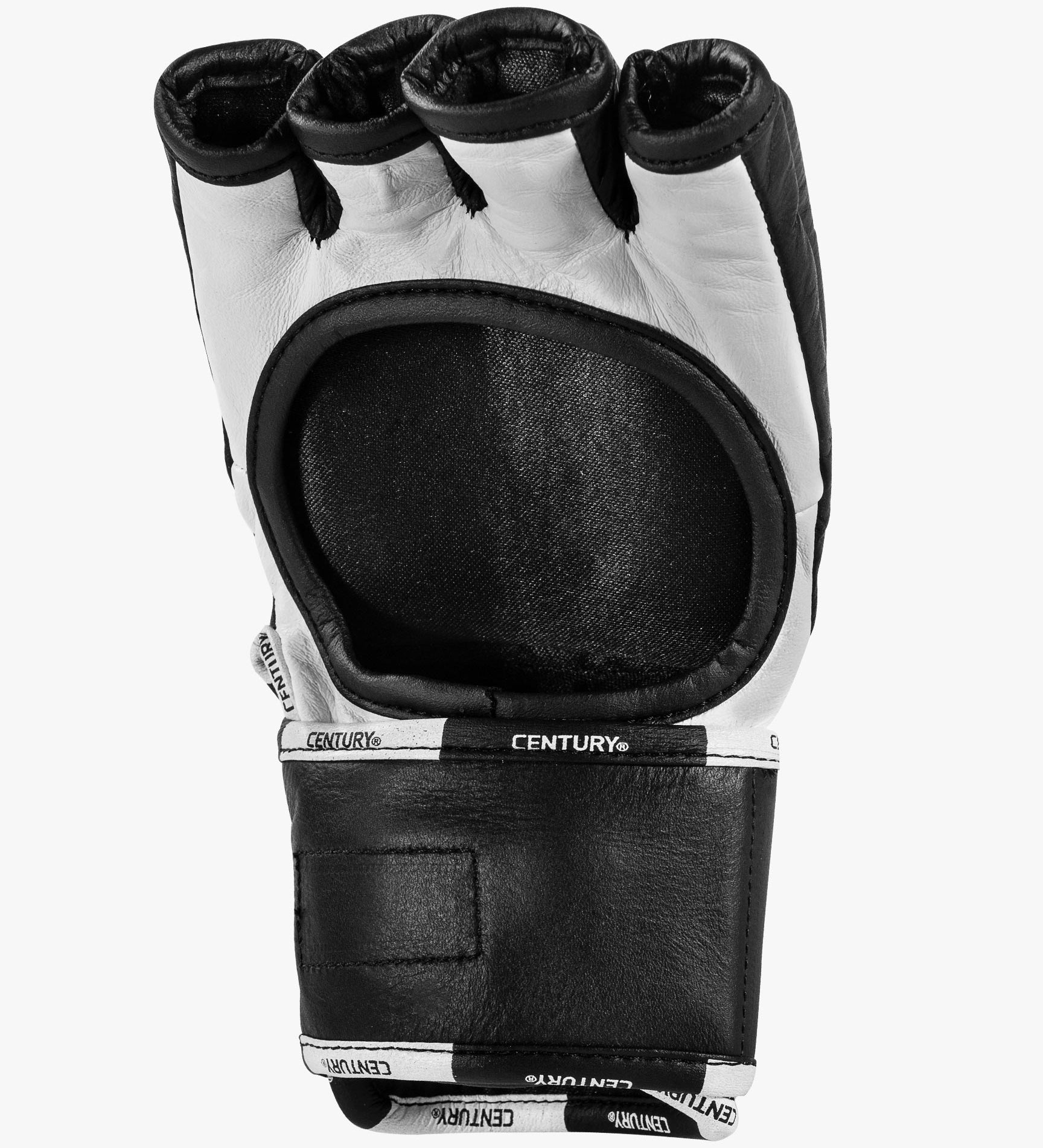 Creed Fight Gloves