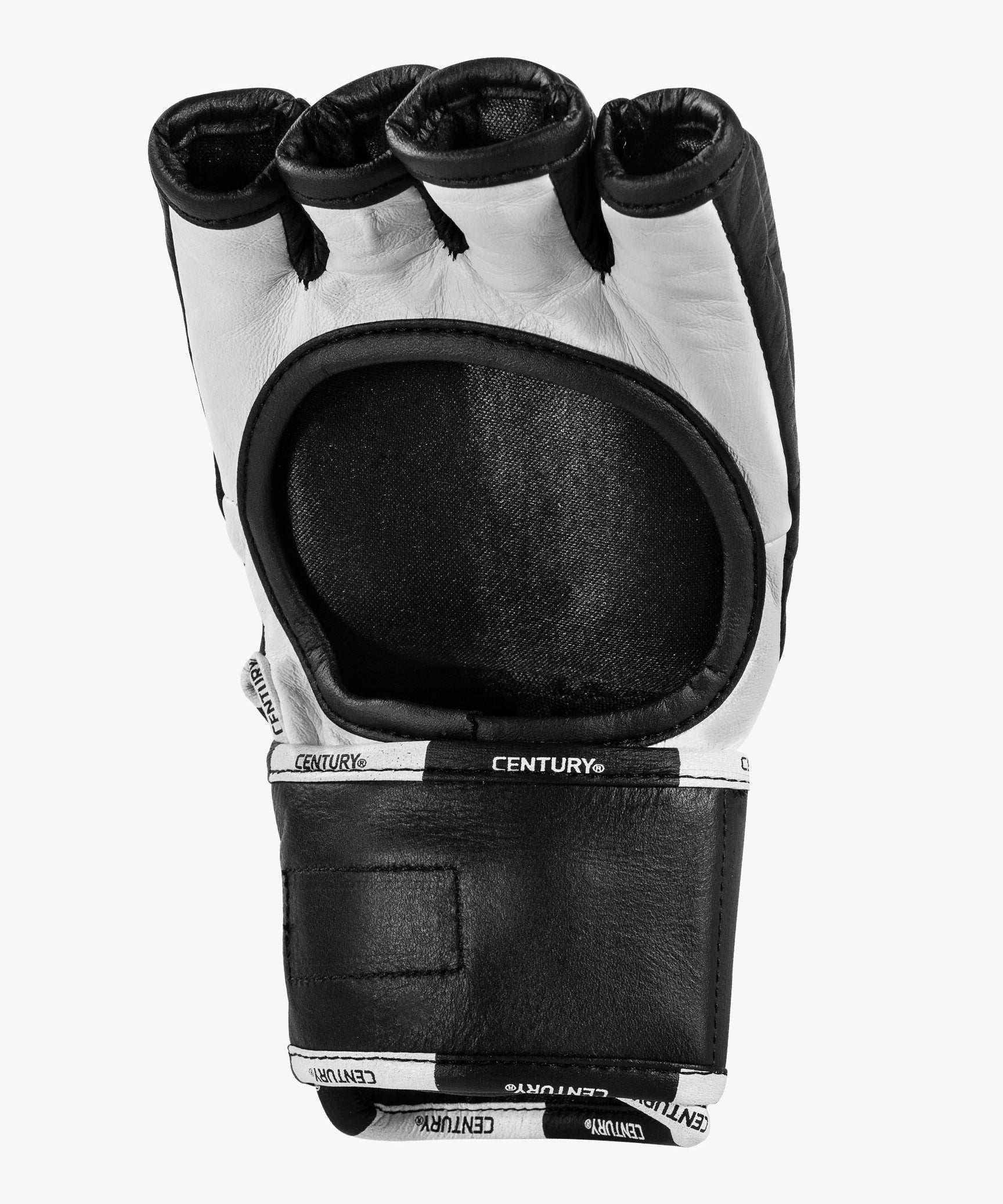 Creed Fight Glove